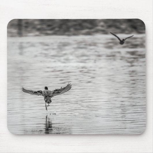 4297 – 鵜が池から離陸 マウスパッド (正面)