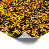 42 X 28 LAKE JUNALUSKAプレミアムキャンバス光沢ポスター ポスター (角)