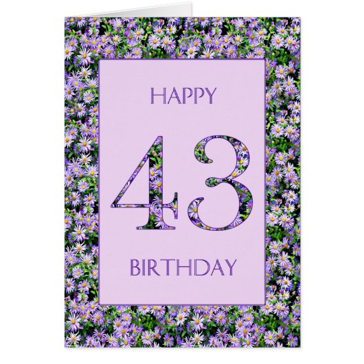 43番誕生日紫デイジー (正面)