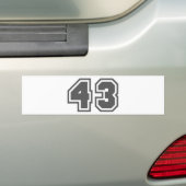 43 バンパーステッカー (車上)