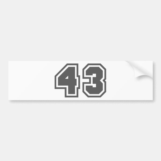 43 バンパーステッカー (正面)