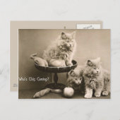 44ペット ポストカード (正面/裏面)