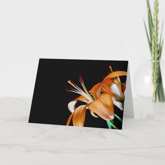 4464 – オレンジ色のユリのクローズアップ サンキューカード (正面)