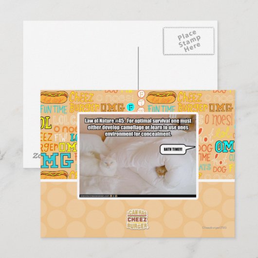 #45自然の法則 ポストカード (正面/裏面)