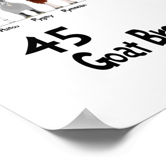 45 breeds of goats chart ポスター (角)