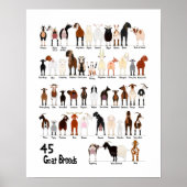 45 breeds of goats chart ポスター (正面)