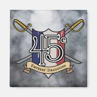 45eマグネット マグネット