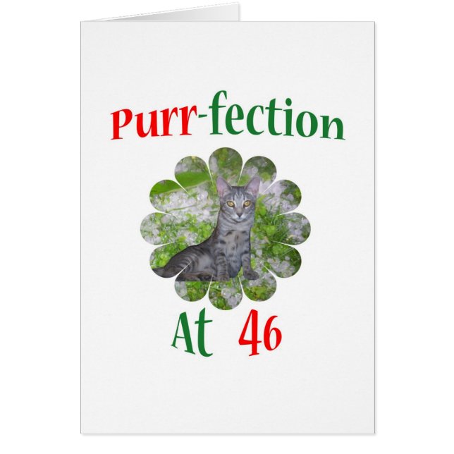 46のどを鳴らす音Fection (正面)