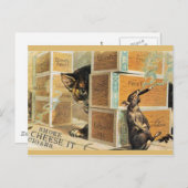 46ペット ポストカード (正面/裏面)