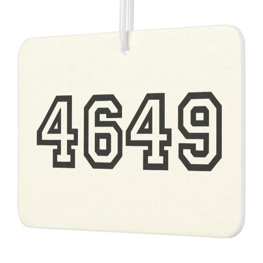 4649スラング日本のヨルシク カーエアーフレッシュナー (左)