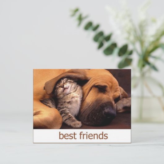 46 ポストカード (スタンド正面)