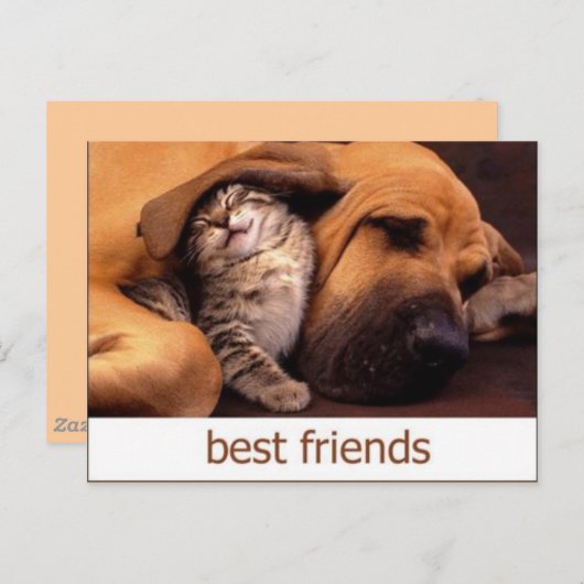 46 ポストカード (正面/裏面)