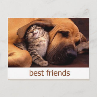 46 ポストカード