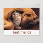 46 ポストカード (正面)