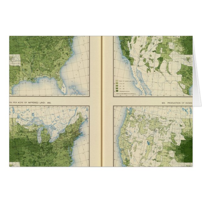 47トウモロコシ1890 (正面横)