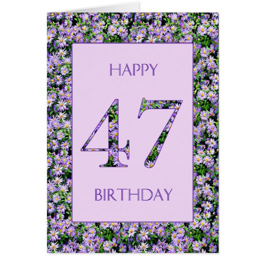 47誕生日紫デイジー (正面)
