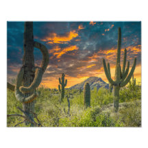 4792-2-Desert日没の景色