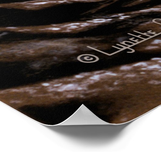 47 Ursae Majoris System ポスター (角)