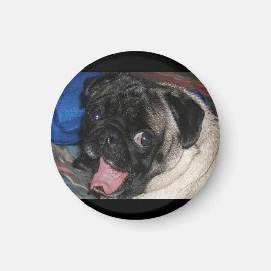 483814433_l マグネット (正面)