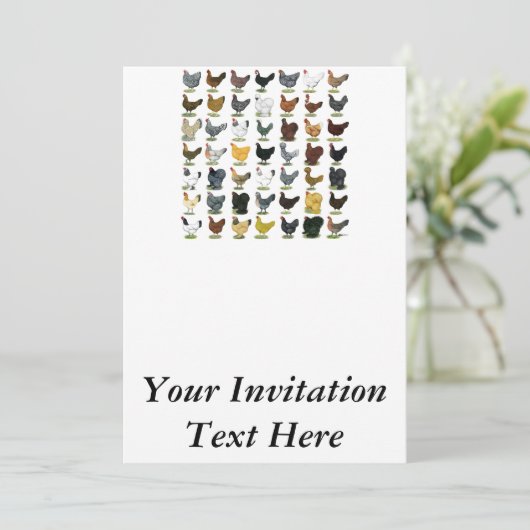 49ニワトリ 招待状 (スタンド正面)