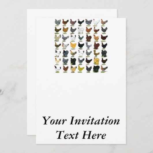 49ニワトリ 招待状 (正面/裏面)