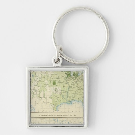 49ライ1890 キーホルダー (正面)