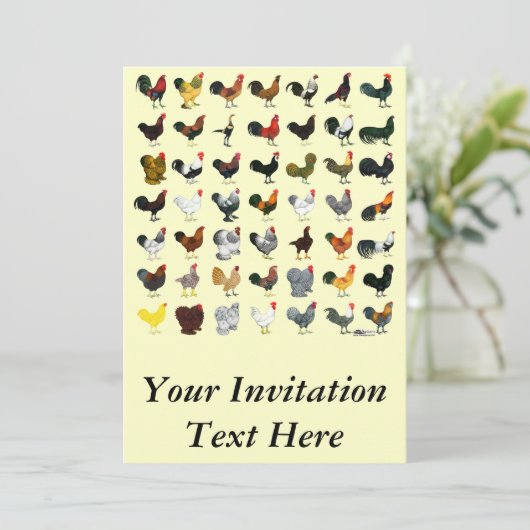 49ルースター 招待状 (スタンド正面)