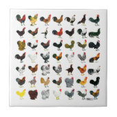 49羽のオンドリ タイル (正面)