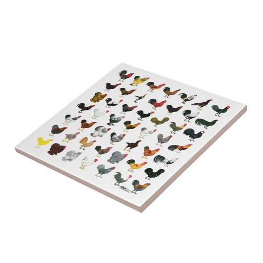 49羽のオンドリ タイル (側面)