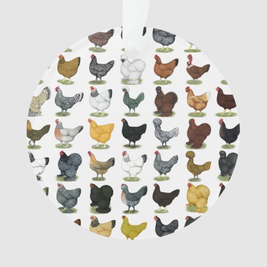 49羽の鶏の雌鶏 オーナメント (正面)