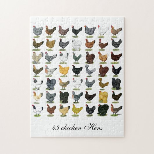 49羽の鶏の雌鶏 ジグソーパズル (縦)