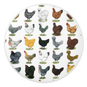 49羽の鶏の雌鶏 セラミックノブ (正面)