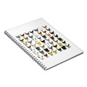 49羽の鶏の雌鶏 ノートブック (右側)