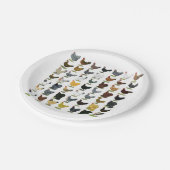 49羽の鶏の雌鶏 ペーパープレート (アングル)