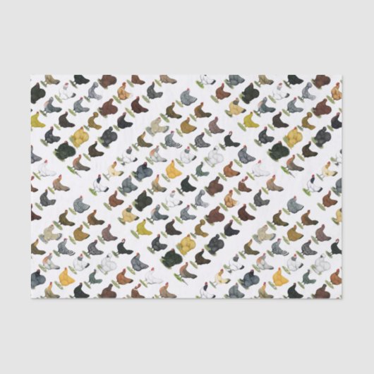 49羽の鶏の雌鶏 薄葉紙 (正面)