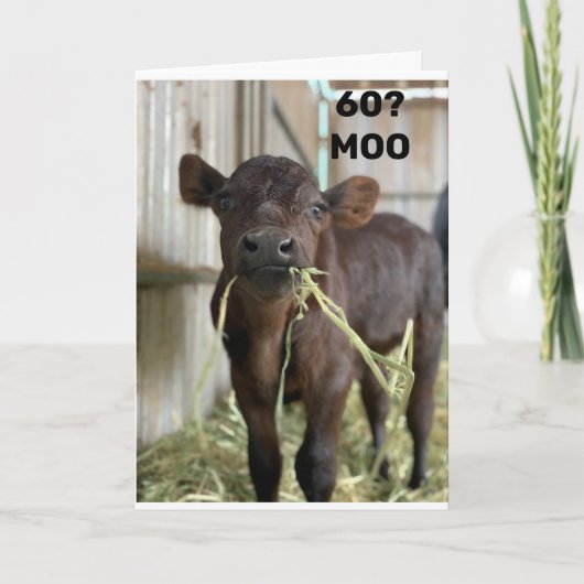 49「60誕生日」以上の日は見えない カード (正面)