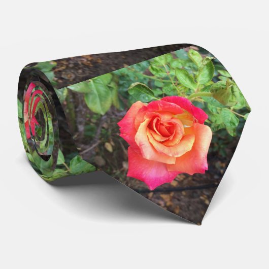 49erバラ ネクタイ (ロール)