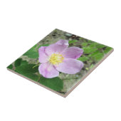 4.25" x 4.25" スクエアタイル ウッズローズ ピンクの花 タイル (側面)