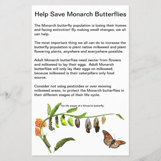 4.5インチx 5.6インチFlyer紙 チラシ (正面)