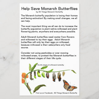 4.5インチx 5.6インチFlyer紙 チラシ