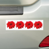 4 Dahlias - Bishop of Llandaff バンパーステッカー (車上)