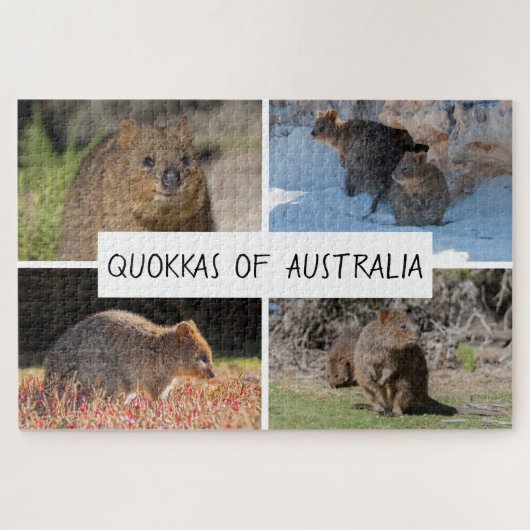 4-in-1 Quokka of Australia Animal, 1014点 ジグソーパズル (横)