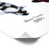 4 main species of koi fish フォトプリント            (角)