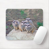 4 Meerkatsの凝視のマウスパッド マウスパッド (マウス)