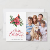 4 PHOTO Poinsettia赤い（鳥）ショウジョウコウカンチョウクリスマスグリーティング シーズンカード (正面)