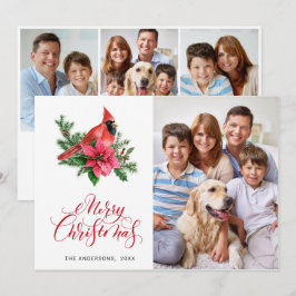 4 PHOTO Poinsettia赤い（鳥）ショウジョウコウカンチョウクリスマスグリーティング シーズンカード