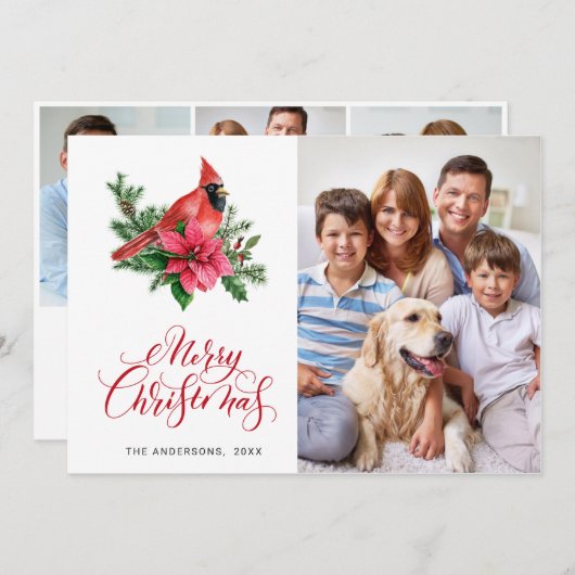 4 PHOTO Poinsettia赤い（鳥）ショウジョウコウカンチョウクリスマスグリーティング シーズンカード (正面/裏面)