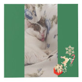 4 Photos Christmas Photo Cube フォトキューブ (右)