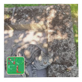 4 Photos Christmas Photo Cube フォトキューブ (正面)