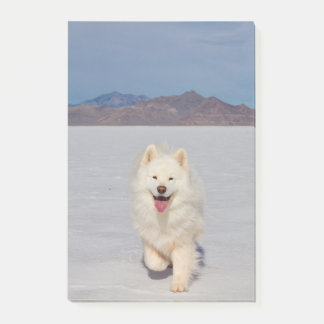 4"x6"ポストイットノート – ソルトフラット ポストイット